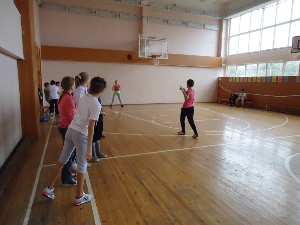 6 kl basket